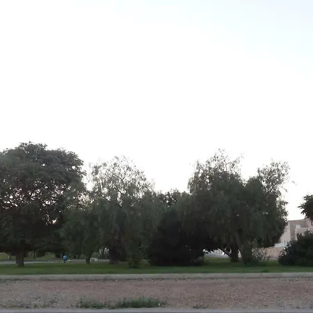 La Mata 35 Торевьиа